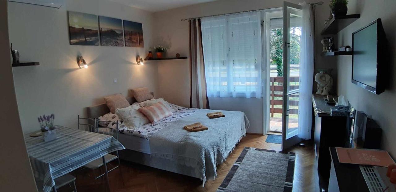 Апартаменты Rosy Apartman Вонярцвашхедь Экстерьер фото